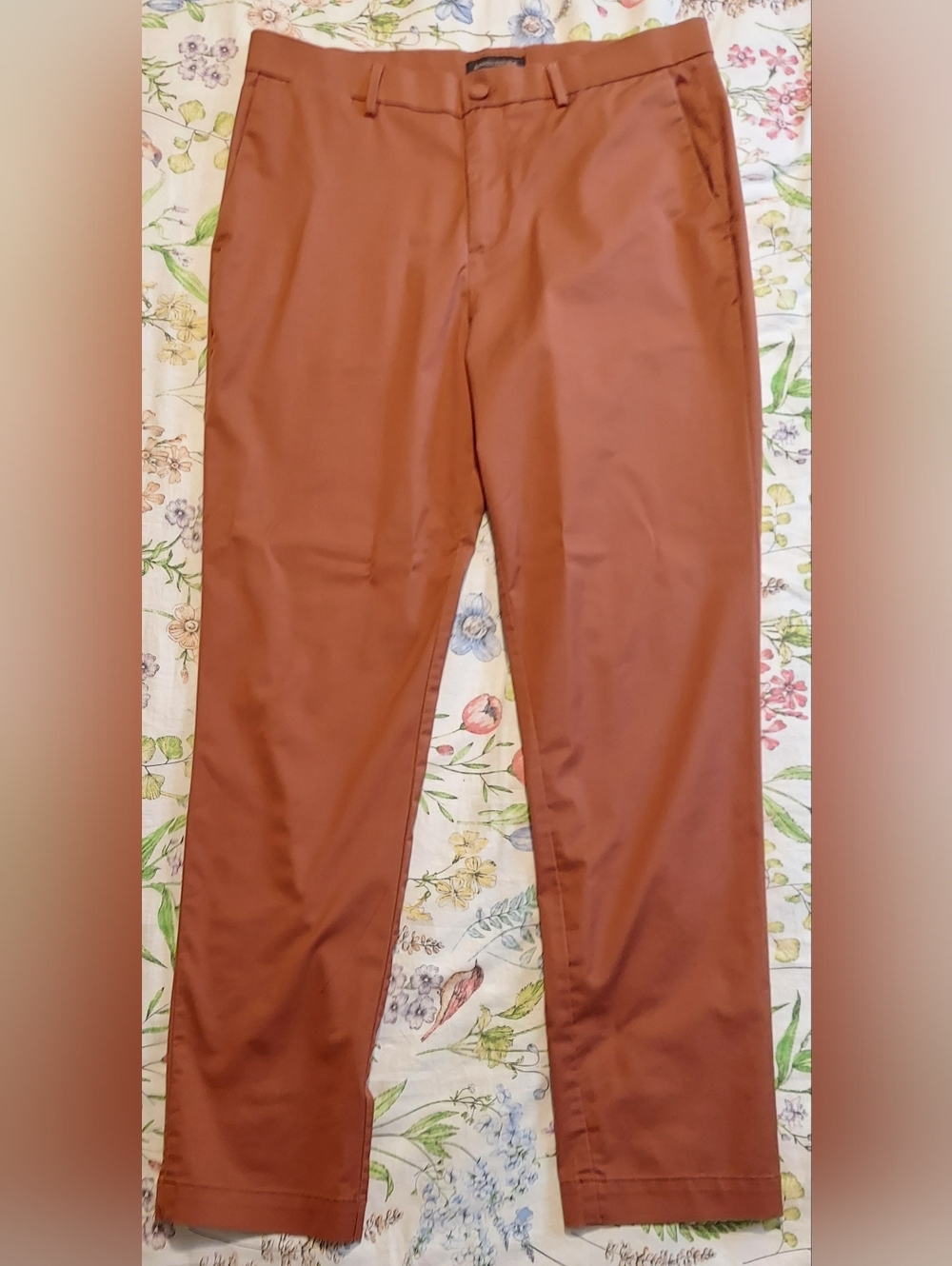 Banana Republic Slim Core Temp Chino Pants mens tag size 33x32 Copper/Terracotta